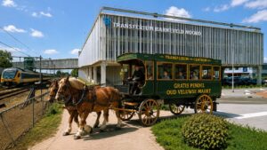 Gemeente komt met alternatief voor parkeerprobleem: gratis pendel met paardenkoets naar Oud Veluwse Markt