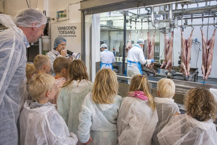 Organisatie ‘Kijken bij de Boer’ wil kinderen volgend jaar completer beeld geven: „Ook laatste hoofdstuk hoort erbij”